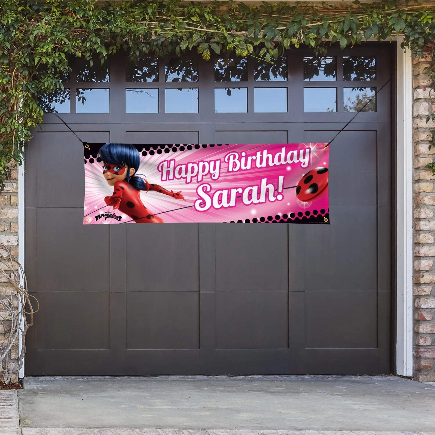 Personalized Miraculous Ladybug Birthday Banner, Pink