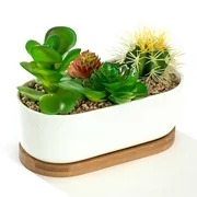 White Oval 6.8" Ceramic Succulent Planter Pot with Bamboo Saucer, Window Plant Container Box