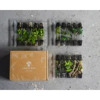 Leafd Box 30 Plant Seasonal Veggie and Education Kit - Tomato, Pepper, Cucumber, Squash and More
