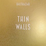 Thin Walls (Vinyl)