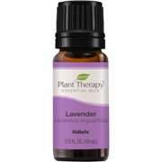 Plant Therapy Lavender Essential Oil 100% Pure, Undiluted, Natural Aromatherapy, Therapeutic Grade 10 mL (1/3 fl oz)