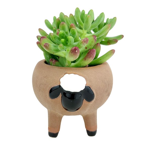 Cute Sheep Animals Ceramic Planter Pots for Succulent & Flowers