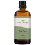 Plant Therapy Essential Oils Tea Tree 100 mL (3.3 fl oz) 100% Pure, Undiluted