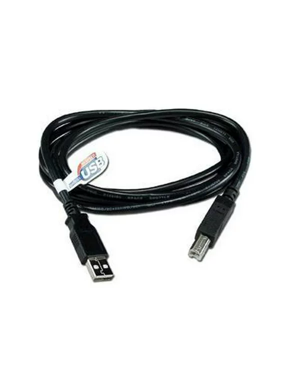 QVS CC2209C-06 6 ft. Black USBA-USBB M/M Black Cable