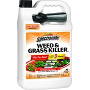Spectracide Weed & Grass Killer2 (Ready-to-Use) (HG-96017) (1 gal)