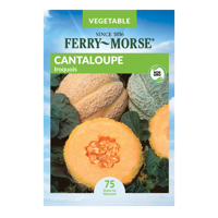 Ferry-Morse Iroquois Cantaloupe Seeds - Since 1856, Non-GMO, Guaranteed Fresh, Fruit Gardening Seeds