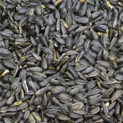 Prince Wild Bird Seed 111656 50 lbs Black Oil Sunflower for Wild Bird Feed