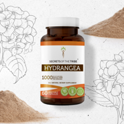 Secrets of the Tribe Hydrangea 60 Capsules, 500 mg, Organic Hydrangea (Hydrangea arborescens) Dried Root