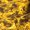 Mossy Oak Elements Yellowfin