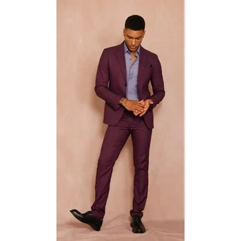 1PA1 Men's Slim Fit 2-Piece Suit Jacket & Pants Set Formal Wedding Prom Business Suit,Purple,M