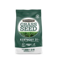 Pennington Kentucky 31 Tall Fescue, KY-31 Grass Seed