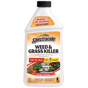 Spectracide Weed & Grass Killer Concentrate Herbicide, 32 Ounces