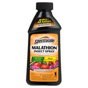 Spectracide Malathion Insect Spray Concentrate, 16-fl oz