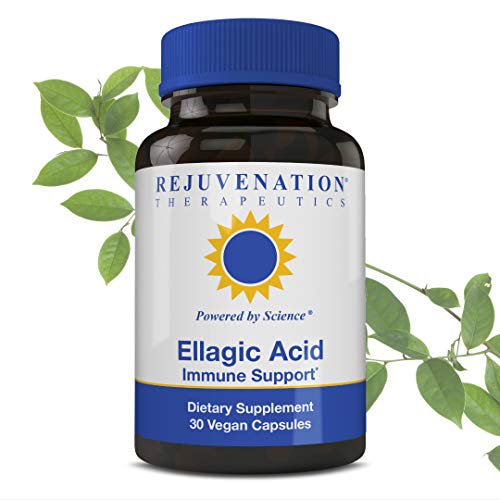 Rejuvenation Therapeutics Ellagic Acid Capsules | Improve Immunity & Eliminate Oxidative Stress | Premium Organic & Vegan Friendly | 30 Capsules 250 Mg