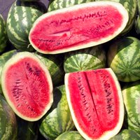 Watermelon Garden Seeds - Sugar Beauty Hybrid - 100 Seeds - Non-GMO, Vegetable Gardening Fruit Melon Seeds