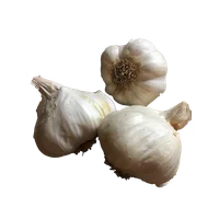 California Jumbo Garlic, 3 Bulbs. Great for Fall Planting! Non GMO - Daylily Nursery Brand