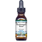 Hydrangea Root Glycerite Liquid Extract (1:5) - Mint Flavored (1 oz, Zin: 522606)