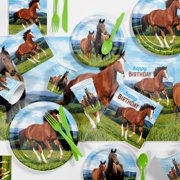 Wild Horse Birthday Party Supplies Kit for 8 Guests