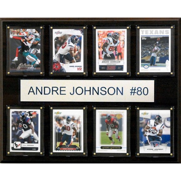 Andre Johnson Houston Texans 12'' x 15'' Plaque