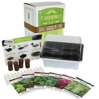 Indoor Culinary Herb Garden Starter - Basic Kit - 6 Non-GMO Varieties - Grow Cooking Herbs & Spices - Seeds: Basil, Dill, Parsley, Chives, Mustard, Oregano