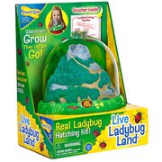 Insect Lore Ladybug Growing Kit Toy - Includes Voucher Coupon for Baby Ladybug Larave to Adult Ladybugs - SHIP LATER