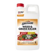 Spectracide Weed & Grass Killer Concentrate, 64-fl oz