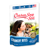 Chicken Soup for the Soul Crunchy Bites Chicken Biscuit Dog Treats 12oz