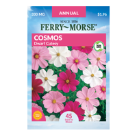 Ferry-Morse Dwarf Cutesy Cosmos Seeds - Since 1856, Non-GMO, Guaranteed Fresh, Annual Flower Gardening Seeds