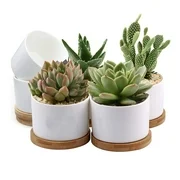 Succulent Pots,White Mini 3.15 inch Ceramic Flower Planter Pot with Bamboo Tray, Pack of 6 - Plants Not Included