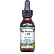 Hydrangea Root Glycerite Liquid Extract (1:5) - Strawberry Flavored (1 oz, Zin: 522603)