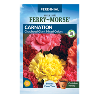 Ferry-Morse Chaubaud Giant Mixed Colors Carnation Seeds - Since 1856, Non-GMO, Guaranteed Fresh, Perennial Flower Gardening Seeds