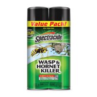 Spectracide Wasp And Hornet Killer 20 ounces, 2 Cans