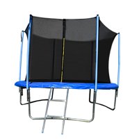 ALEKO TRP12 12 Foot Trampoline With Safety Net and Ladder, Black and Blue