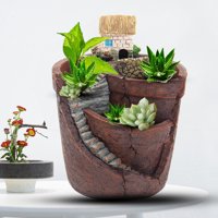 Decorative Synthetic Resin Succulent Pot, Terra Cotta