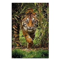 Bamboo Tiger Poster - (24 x 36 Inches)