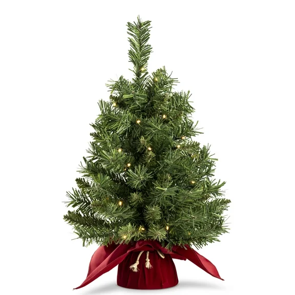 212 Main  Majestic Spruce 2 FT Tree in Burgundy Cloth Bag with 35 Warm White Battery Operated Operated LED Lights - White - 24 in.