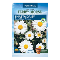 Ferry-Morse Shasta Daisy Seeds - Since 1856, Non-GMO, Guaranteed Fresh, Perennial Flower Gardening Seeds