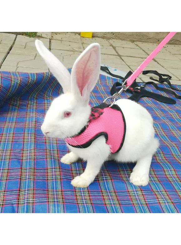 Soft Rabbit Harness Cat Harness with Lead for Small Animals, Kitty Pet Harness and Bunny Cat, Little Pet Walking