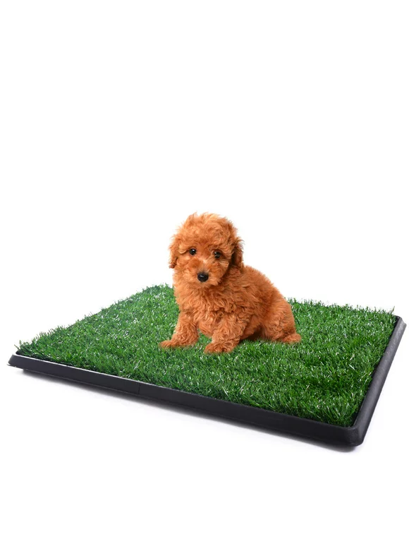 Topcobe Artificial Grass Bathroom Mat for Puppies and Small Pets, 25"x20"