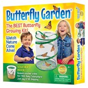 insect lore butterfly growing kit - with voucher to redeem caterpillars later