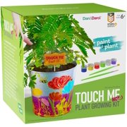 Paint & Plant Touch-Me-Not Growing Kit - Kids Gardening Seeds - Tickle Sensitive Zombie-Like Plant - Science Gifts for Girls and Boys Ages 4 5 6 7 8 9 10 - STEM Arts & Crafts Project House Activity