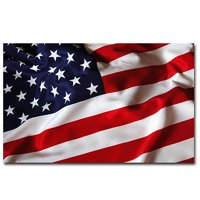 American Flag Bumper Sticker Decal - Waive Murica Merica