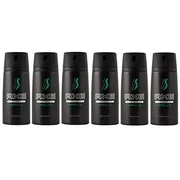 (PACK OF 6 CANS) Axe APOLLO Body Spray Deodorant. 48 HOUR ODOR PROTECTION! Energized & Fresh! (6 Cans, 5oz each Can)