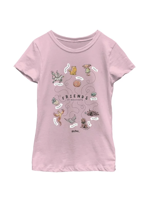 Girl's Harry Potter Animals and Pets from Hogwarts  Graphic Tee Light Pink X Large
