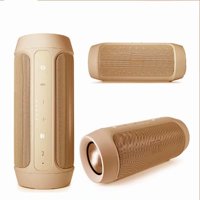 Wireless Bluetooth Speaker Bluetooth 4.2 Subwoofer Portable Waterproof Sound Box Support USB TF Card Hands-Free Call Gold