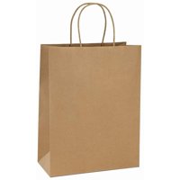 10x5x13 inch Paper Bags Kraft Brown Gift Bags Bulk with Hanldles for Birthday Wedding Party Favors 25pcs/ SET