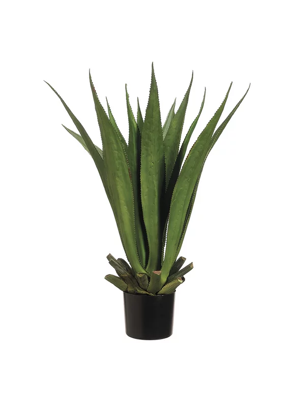 Allstate 33" Potted Two Tone Green Agave Plant