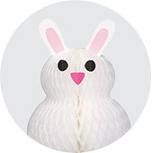 Shop Easter party supplies