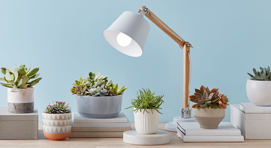 Give the Green Light. Grow your plants & succulents with lighting solutions designed for indoor life.