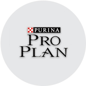 Shop Purina Pro Plan